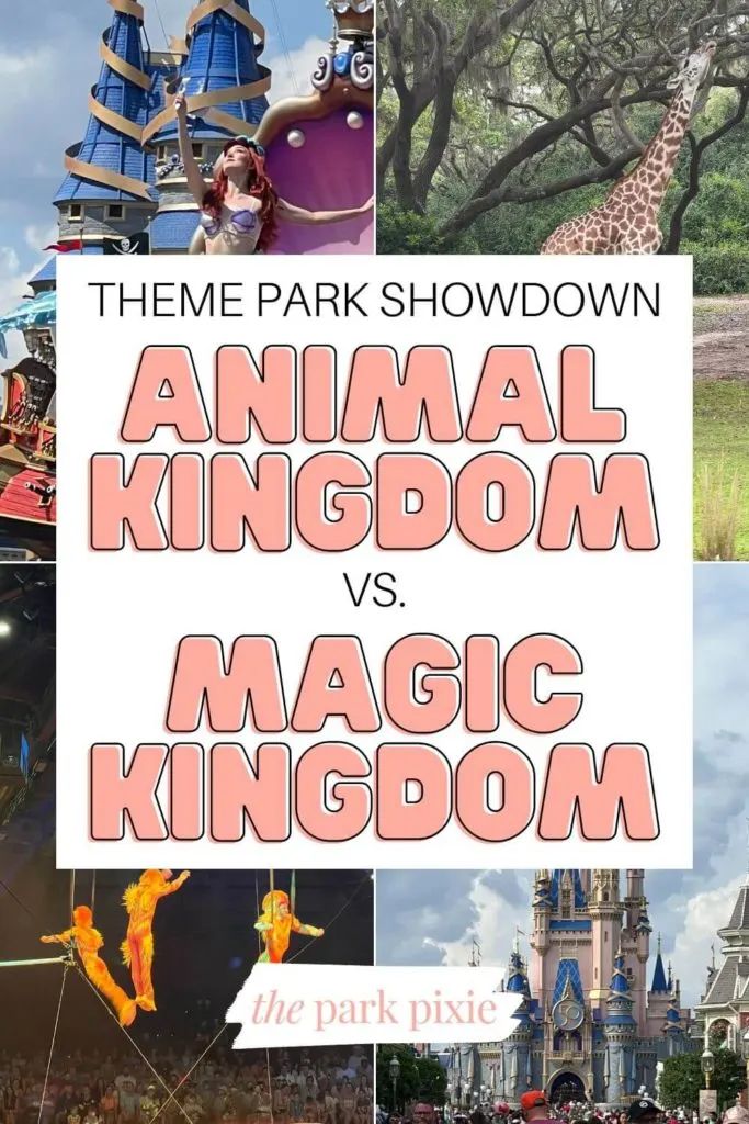 Grid with 4 photos from Magic Kingdom and Animal Kingdom theme parks. Text in the middle reads: "Theme Park Showdown: Animal Kingdom vs Magic Kingdom."