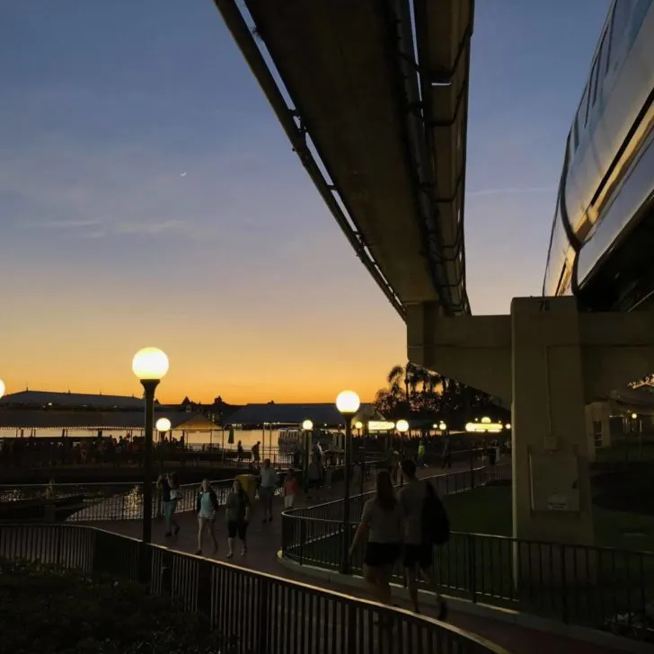 Photo of the monorail at Magic Kingdom at dusk.