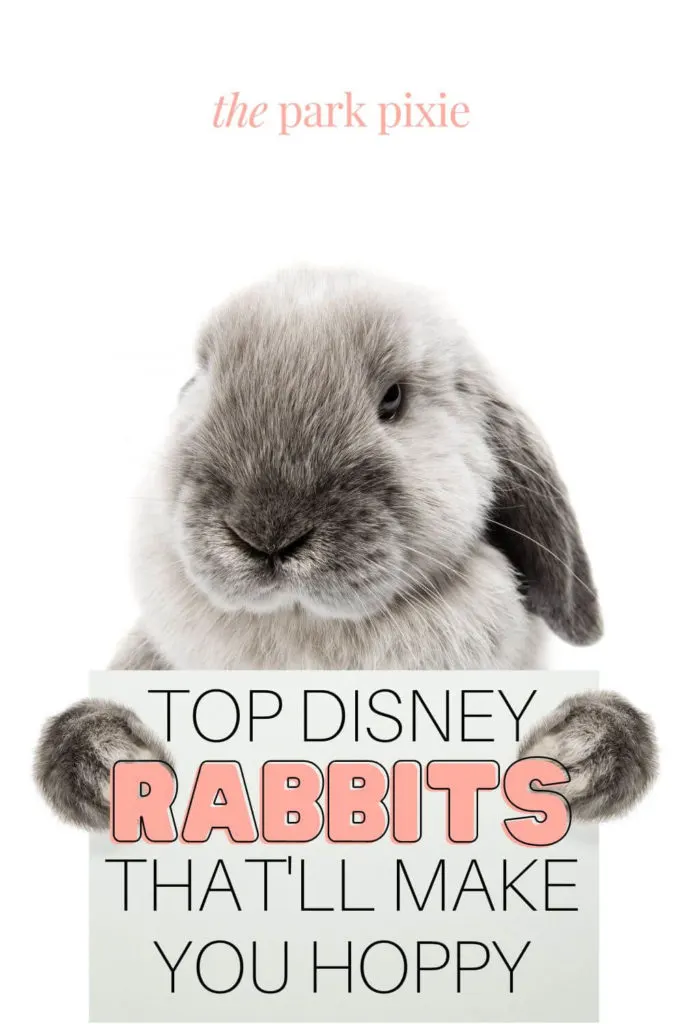 Photo of a bunny holding up a piece of paper that says "Top Disney Rabbits That'll Make You Hoppy."