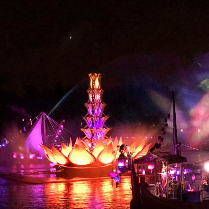 Photo from the former Rivers of Life nighttime show at Disney's Animal Kingdom.