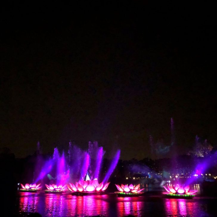 Photo of pink and purple glowing lotus flower floats in Animal Kingdom's Rivers of Lights nighttime show.
