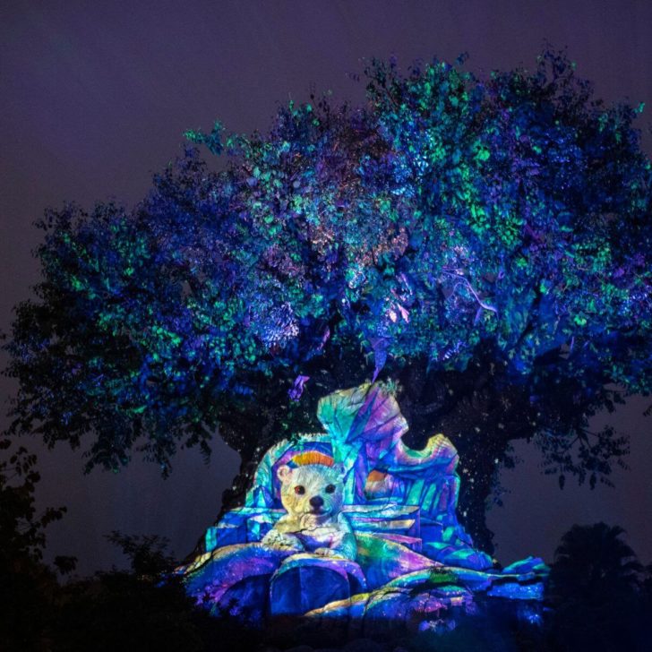 Photo of the Tree of Life at Animal Kingdom at night with a polar bear projected onto the trunk.
