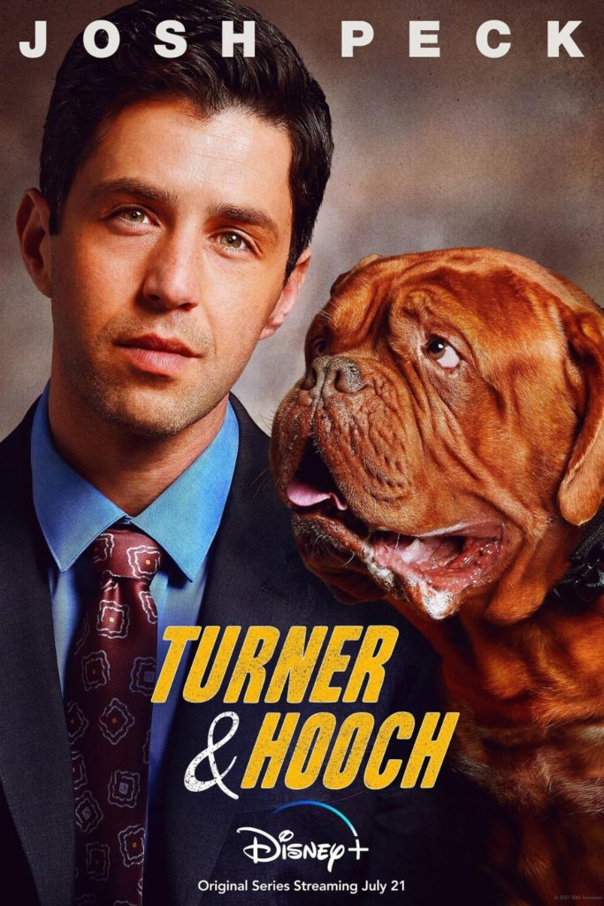 Promotional poster for the Disney+ series, Turner & Hooch, with Josh Peck as Scott Turner, Jr. and a Dogues de Bordeaux dog.