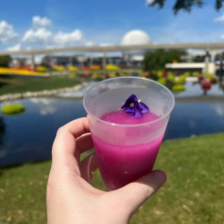 Closeup photo of a violet lemonade slushy with Spaceship Earth in the background.