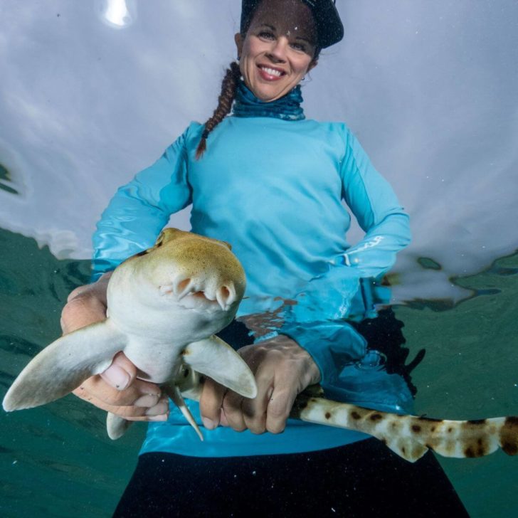 Dr. Jodie Rummer releasing a baby epaulette shark in the waters off of Heron Island in Australia.