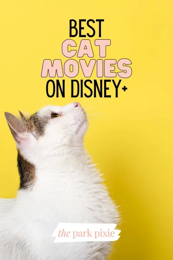 Photo of a cat looking up against a yellow background. Text above the photo reads "Best Cat Movies on Disney+."