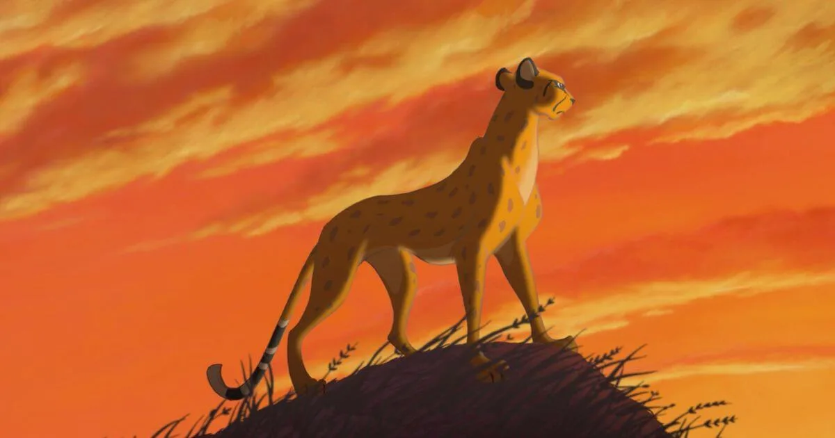 Photo of a wild cat standing on a rock looking out toward orange skies in Disney's The Lion King.