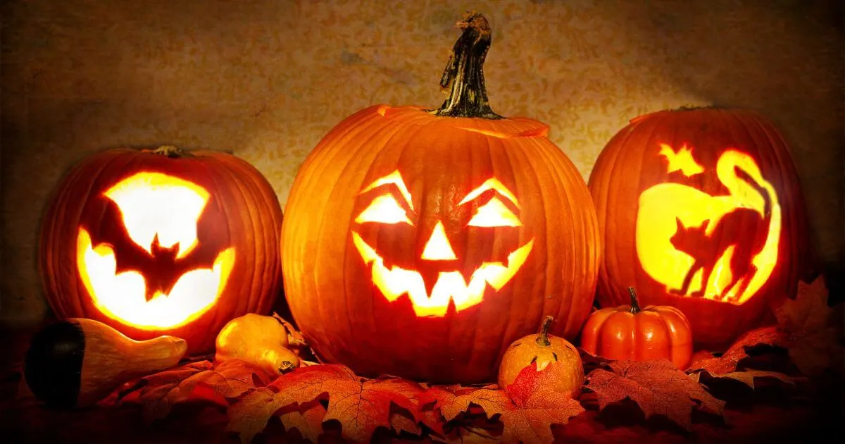 Photo of three jack o lanterns lit up with smaller pumpkins, gourds, and Autumn leaves arranged around them.