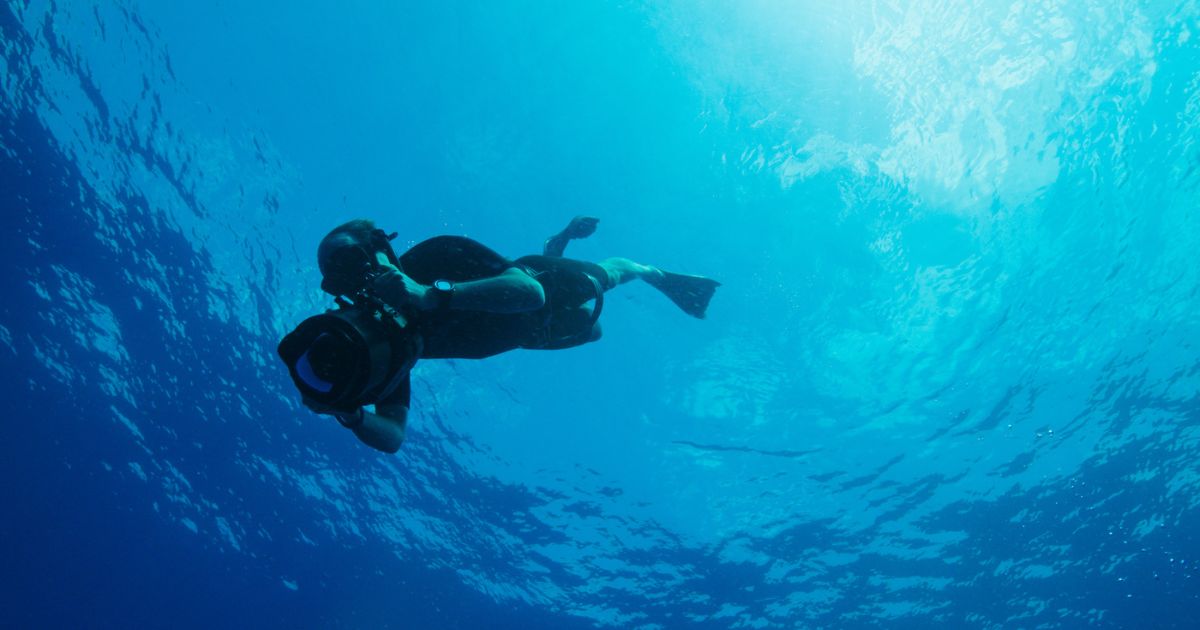 National Geographic photographer Brian Skerry in the documentary, Secret of the Whales, one of the best ocean movies on Disney Plus.