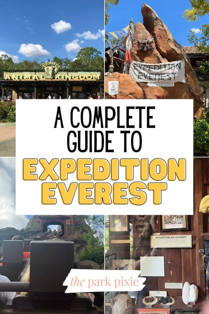 Grid with 4 photos (L-R): Animal Kingdom entrance, Expedition Everest entrance, decor in the Expedition Everest line, and looking up a hill on the ride. Text in the middle reads "A Complete Guide to Expedition Everest."