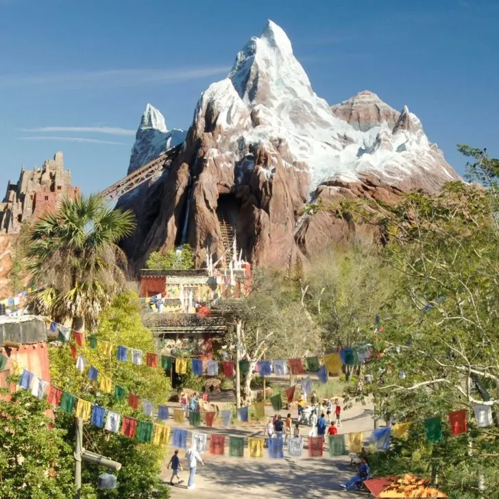 Photo of Expedition Everest from afar with Nepalese prayer flags strewn above leading up to the entrance.