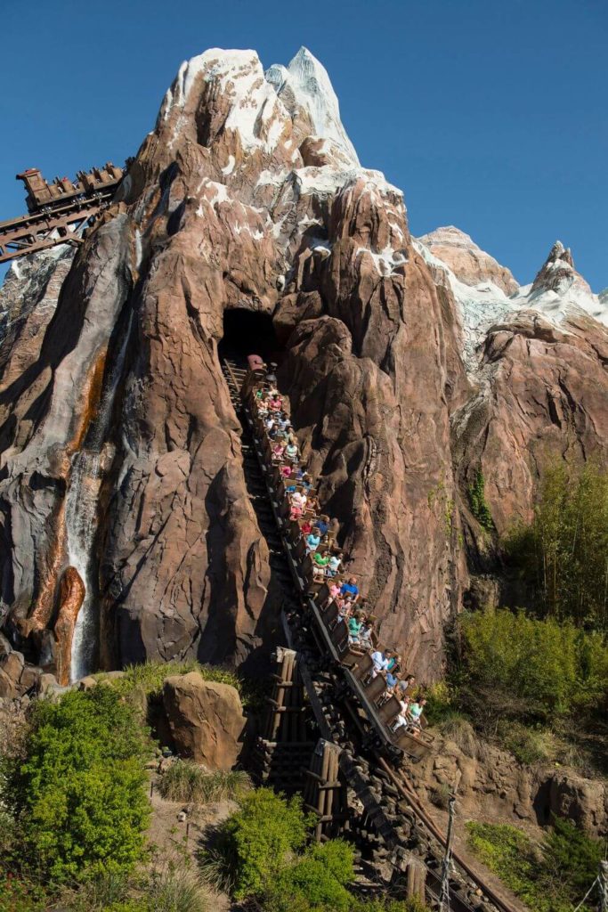 Photo of Expedition Everest, with a car going down one of the drops.