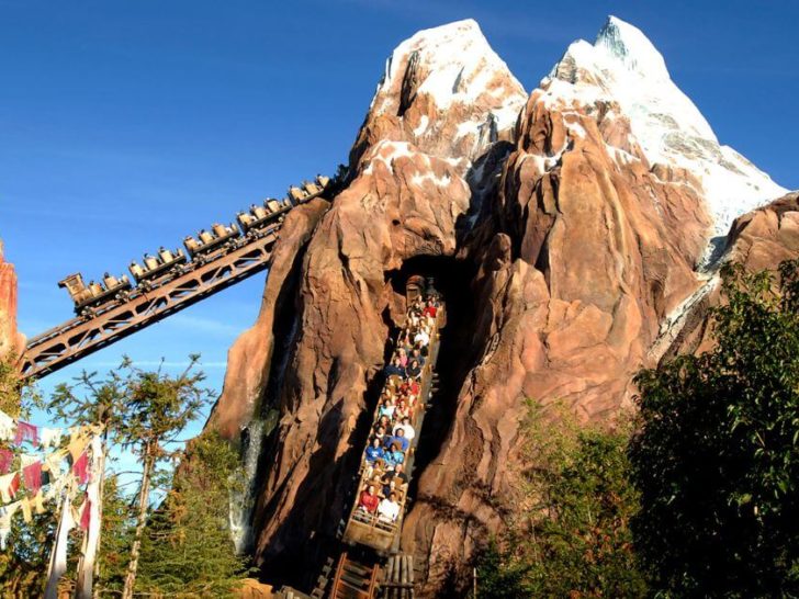 Animal Kingdom’s Expedition Everest Ride: Everything to Know