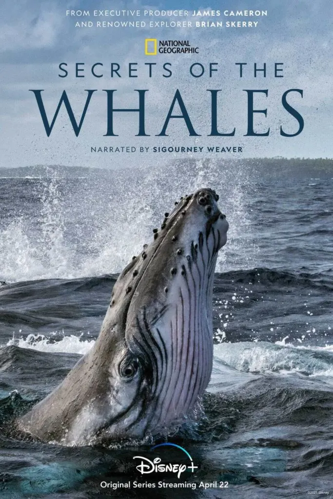 Promotional poster for the National Geographic ocean documentary, Secrets of the Whales.
