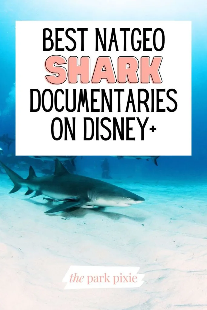 Photo of a shark swimming at the bottom of the ocean. Text above the photo reads "Best NatGeo Shark Documentaries on Disney+."