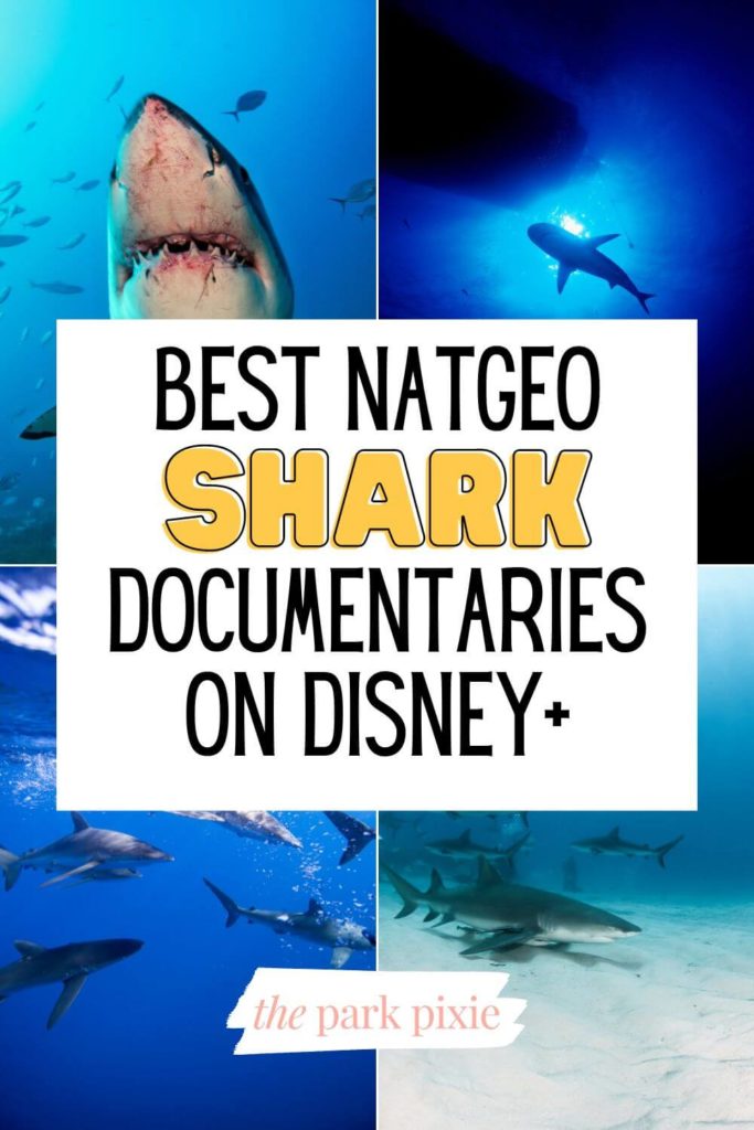 Graphic with 4 photos of sharks. Text in the middle reads "Best NatGeo Shark Documentaries on Disney+."