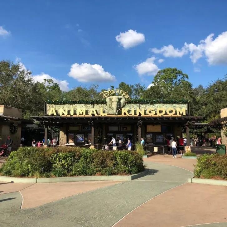 Photo of the entrance to Disney's Animal Kingdom theme park.
