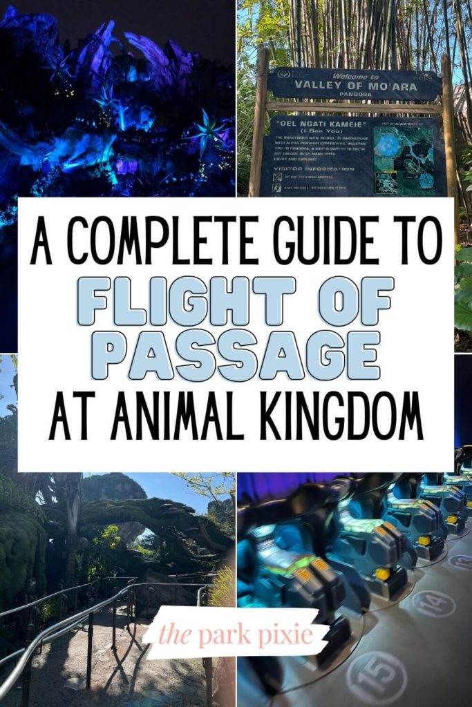 Graphic with a grid of 4 photos from Pandora - World of Avatar at Disney's Animal Kingdom, as well as the Avatar: Flight of Passage ride. Text in the middle reads "A Complete Guide to Flight of Passage at Animal Kingdom."