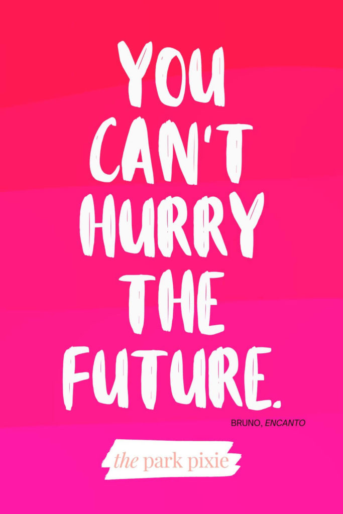 Graphic with a red to hot pink ombre background. Text overlay reads a quote from Bruno in Encanto: You can't hurry the future.