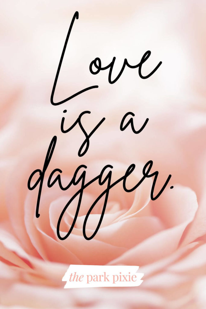 Graphic with a burred pink rose background and text that reads: Love is a dagger.