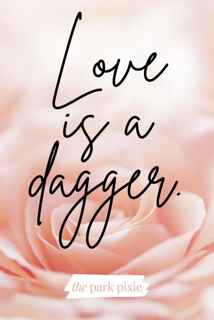 Graphic with a burred pink rose background and text that reads: Love is a dagger.