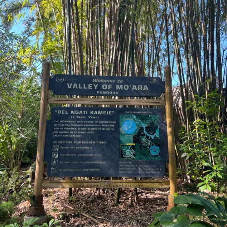Photo of sign outside the entrance to Pandora - World of Avatar that says "Welcome to the Valley of Mo'Ara - Pandora," along with a map and other facts for visitors.