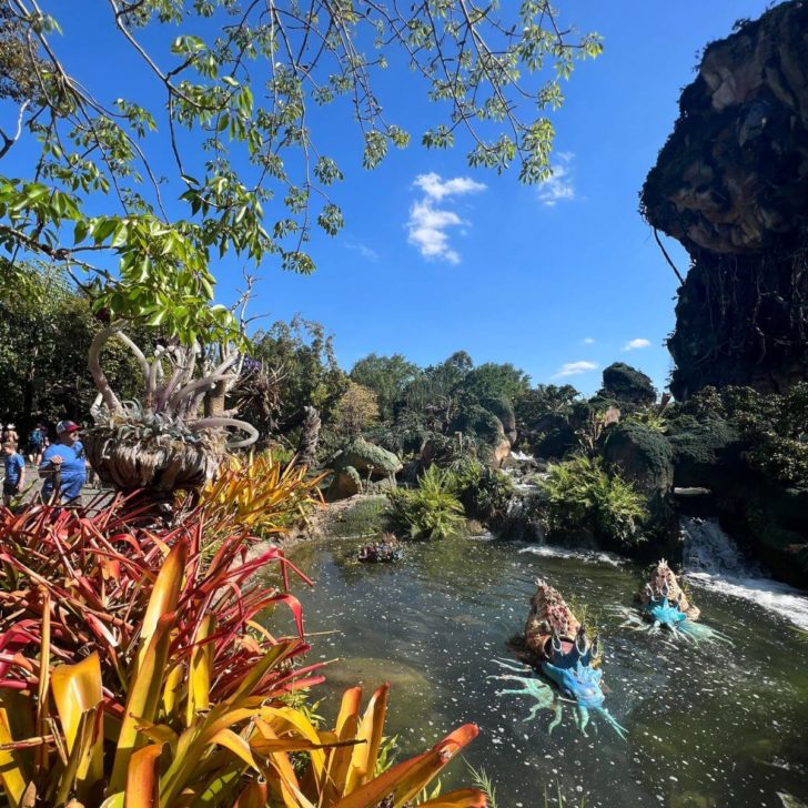 Photo of a cozy nook next to a pond and plants at Pandora - World of Avatar.