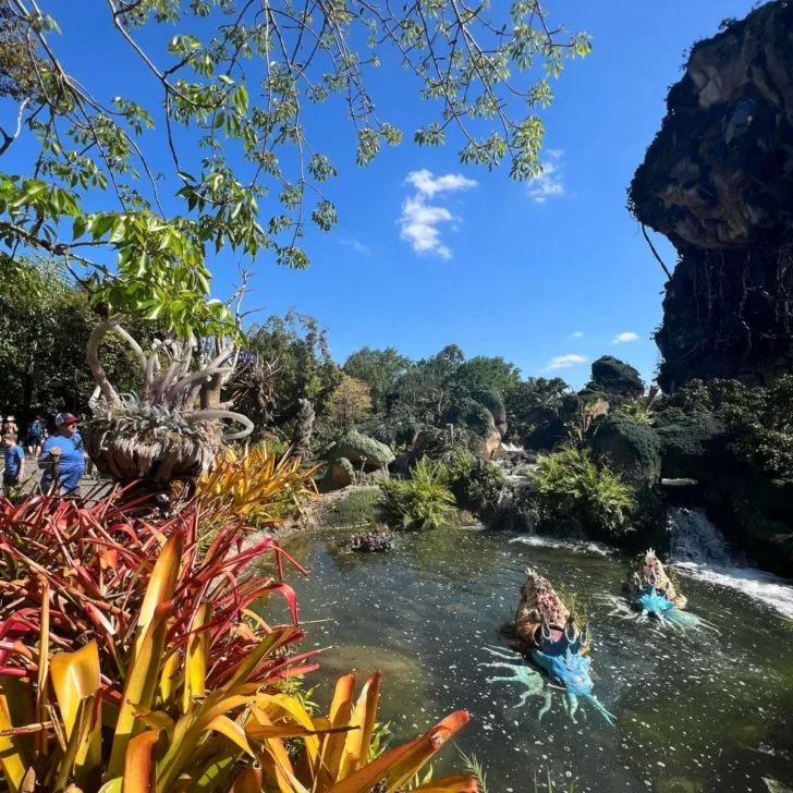 Photo of a cozy nook next to a pond and plants at Pandora - World of Avatar.