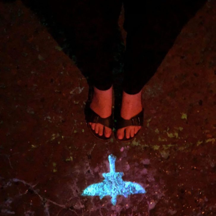 Photo looking down at feet in sandals with a glow-in-the-dark banshee carved into the pavement at Pandora - World of Avatar in Disney's Animal Kingdom.