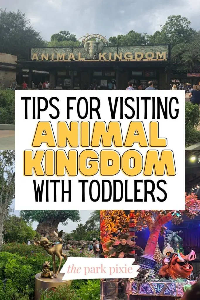 Grid with 3 photos (L-R clockwise): Animal Kingdom entrance, Pumbaa in the Festival of the Lion King show, and a bronze Bambi and Thumper statue.