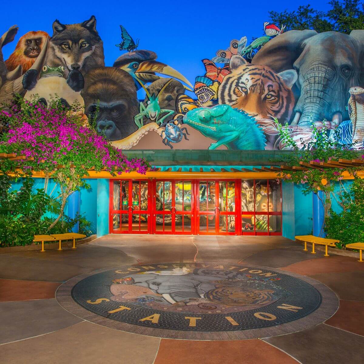 Photo of the Conservation Station at Rafiki's Planet Watch in Animal Kingdom.