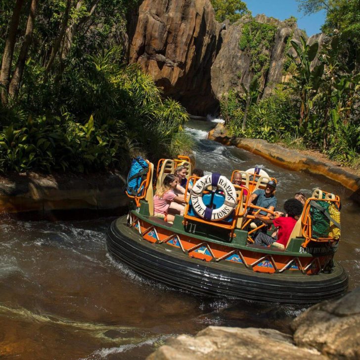 Photo of the Kali River Rapids water ride.