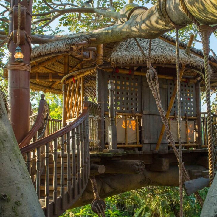 Photo of the Swiss Family Treehouse at Disney World's Magic Kingdom.