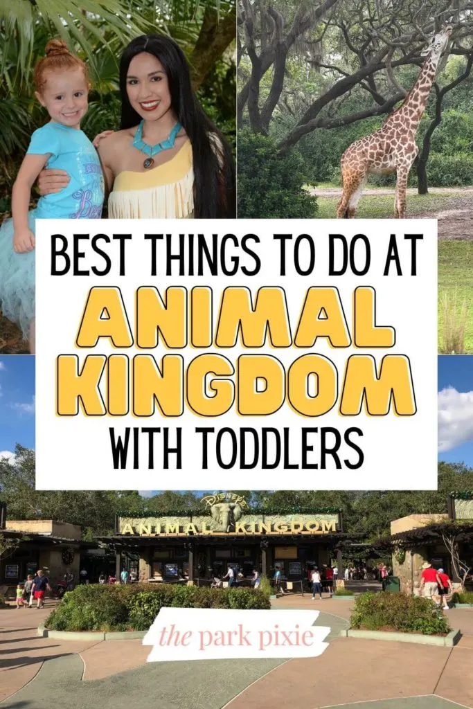 Grid with 3 photos (L-R clockwise): toddler posing with Pocahontas, a giraffe, and the entrance to Disney's Animal Kingdom.