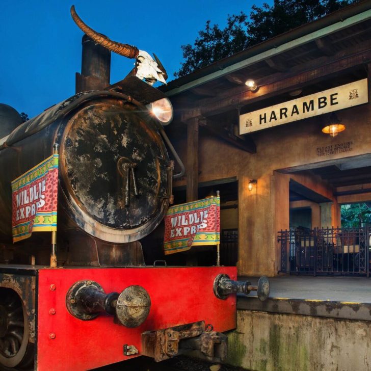 Photo of the Wildlife Express train parked at the Harambe station in Disney's Animal Kingdom.
