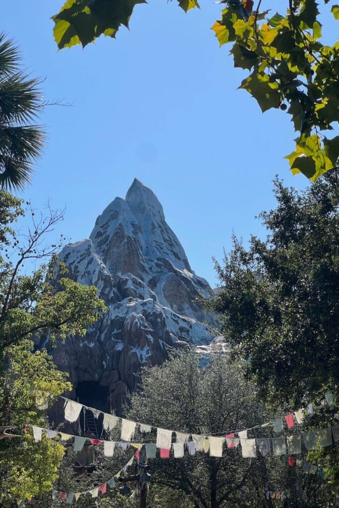 Photo of Expedition Everest at Disney's Animal Kingdom with Nepalese prayer flags in the foreground.