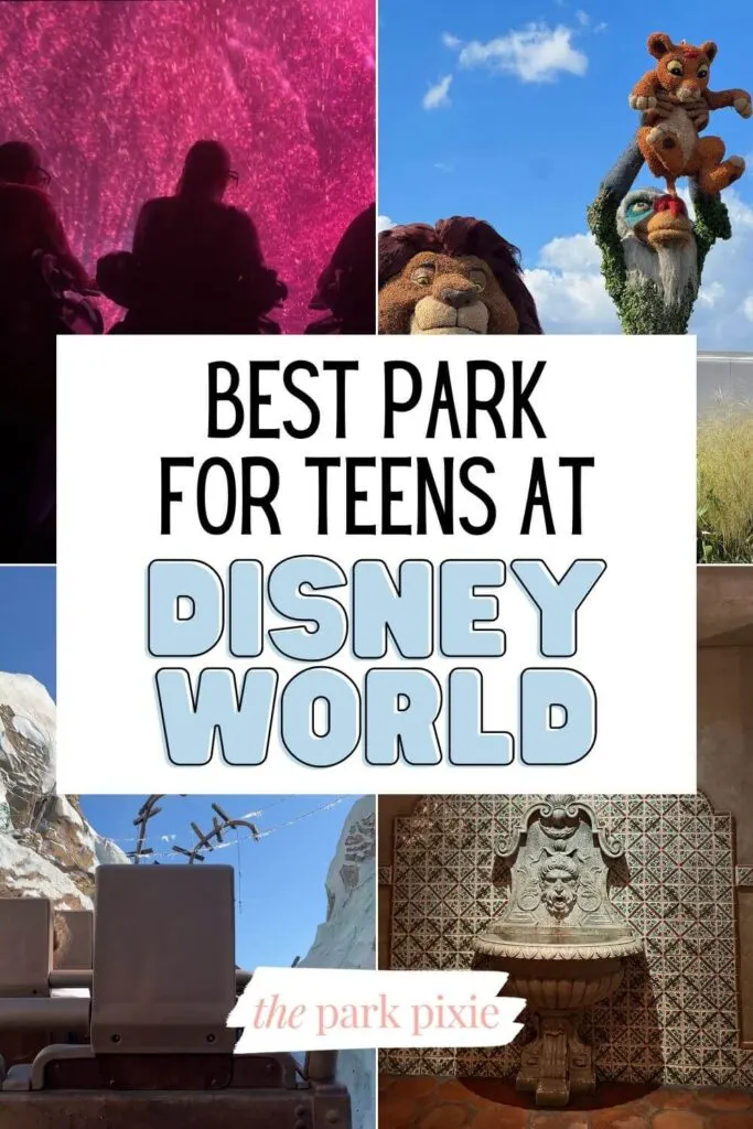 Grid with 4 vertical photos (L-R clockwise): photo of a person riding Flight of Passage, a Lion King themed topiary, a creepy tiled fountain at Tower of Terror, and the broken track on Expedition Everest.