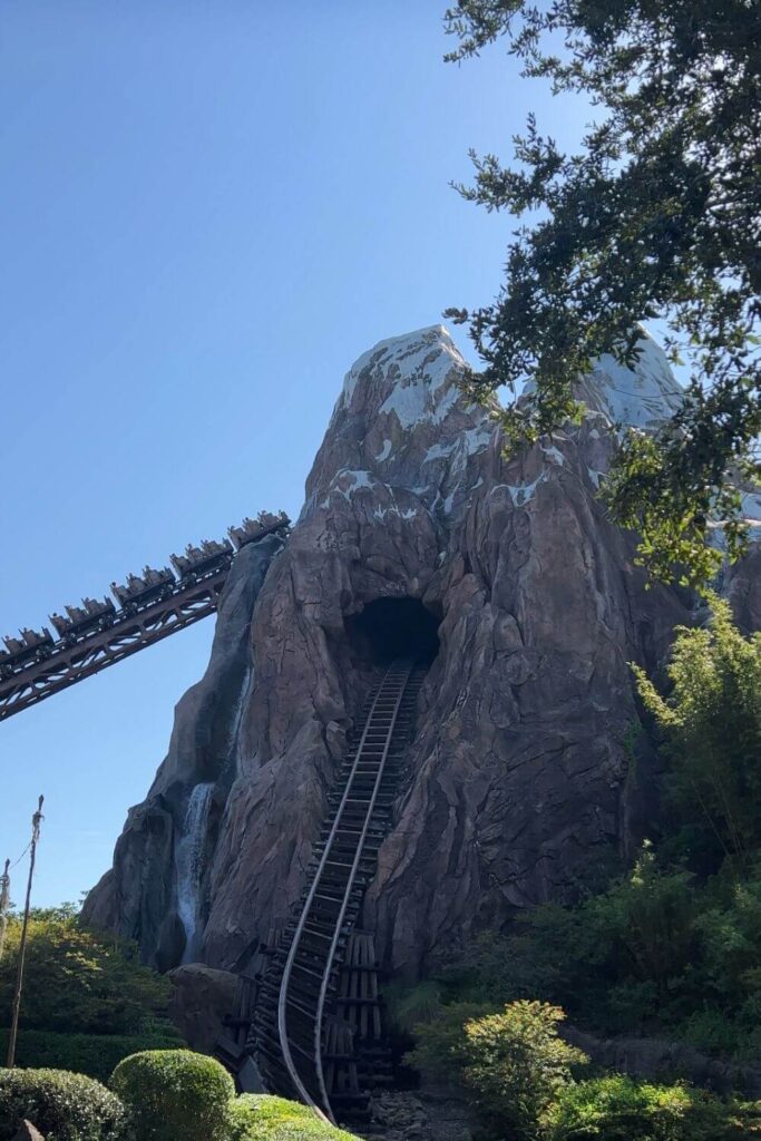 Photo of Expedition Everest at Disney's Animal Kingdom with a ride car going up a hill.