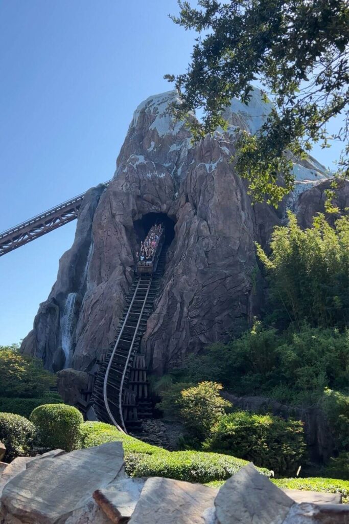 Photo of the Expedition Everest ride at Animal Kingdom, with a ride car starting to go downhill in one section.