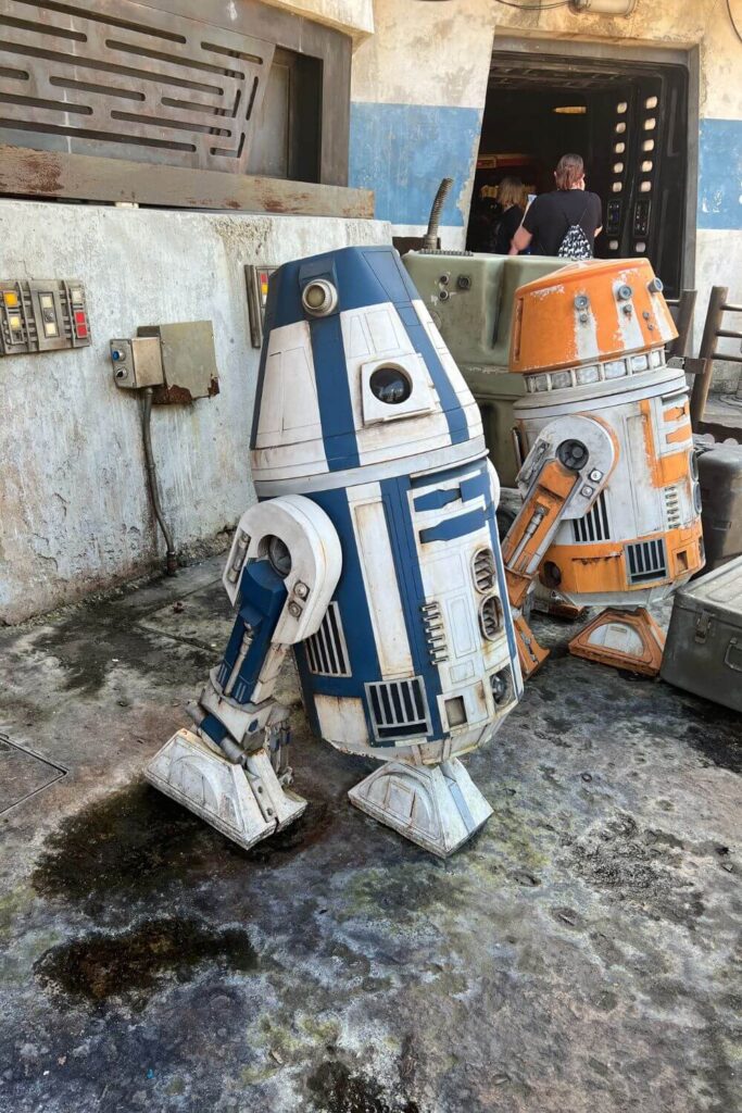 Photo of 2 droid robots, one blue and one orange, at Star Wars: Galaxy's Edge at Disney's Hollywood Studios.