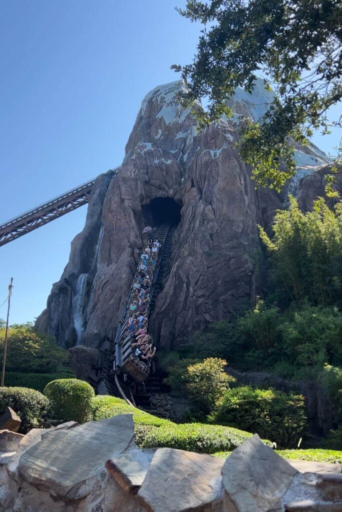 Photo of a ride car going downhill on Expedition Everest at Disney's Animal Kingdom.