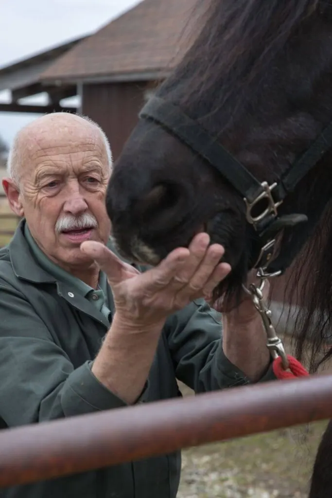 Dr. Pol offers up a handful of food for an eager Friesian horse.