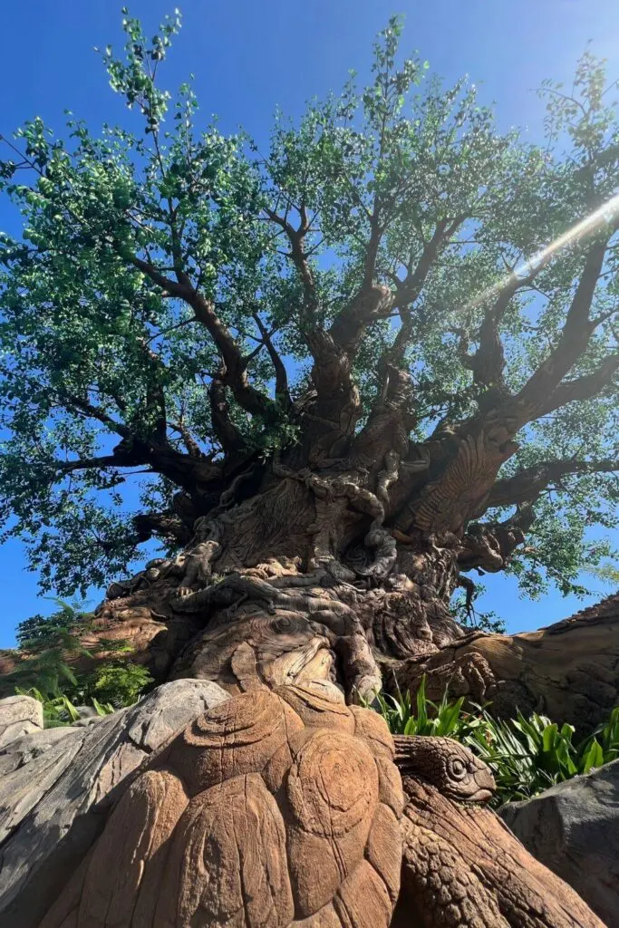 Photo looking up from the base of the Tree of Life at Animal Kingdom.