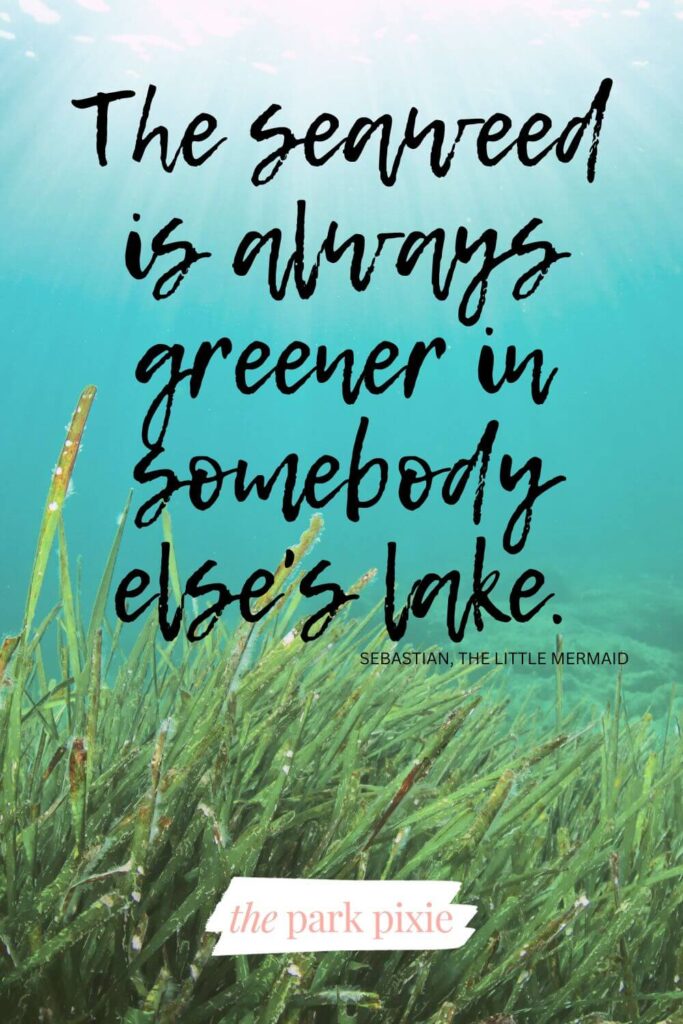 Graphic with a photo of seaweed under the sea. Text overlay reads: The seaweed is always greener in somebody else's lake.