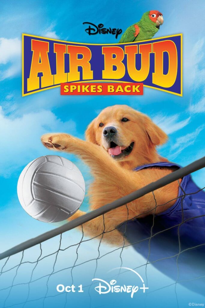 Promotional poster for the Disney movie Air Bud Spikes Back.