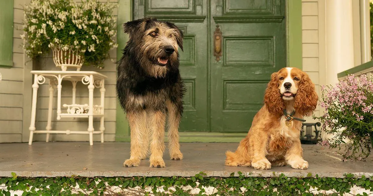 Tramp (voiced by Justin Theroux) and Lady (voiced by Tessa Thompson) sitting on the front porch of a lovely home with lots of flowers and plants in Disney’s live-action dog movie, Lady & the Tramp.