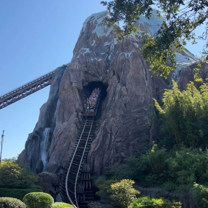 Photo of a full car of riders going down a big drop on Expedition Everest, the yeti ride at Animal Kingdom.