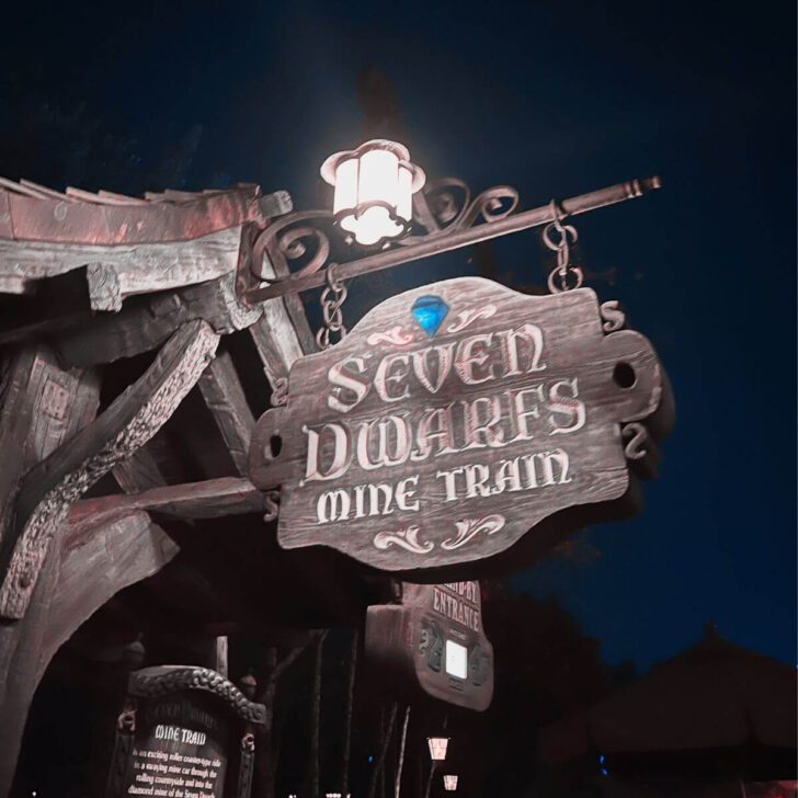 Photo of the Seven Dwarfs Mine Train entrance at night.