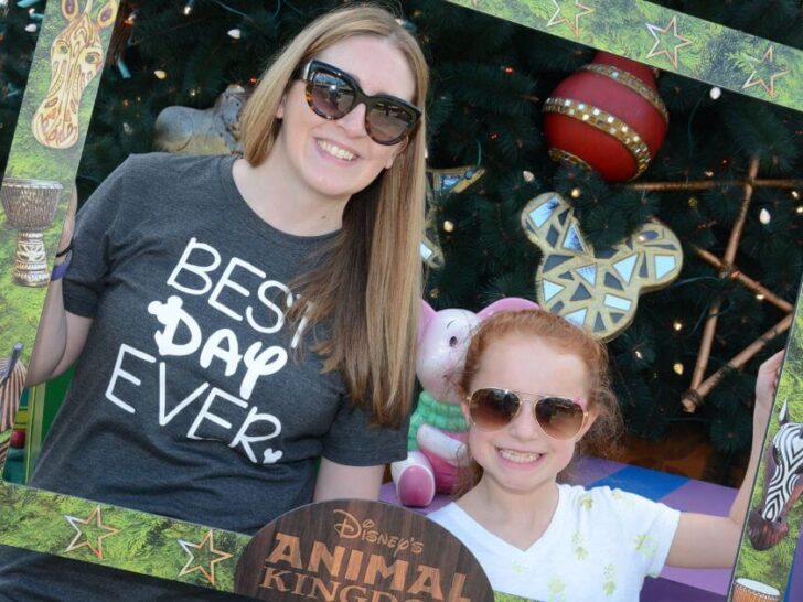 Disney’s Animal Kingdom at Christmas Celebration Guide