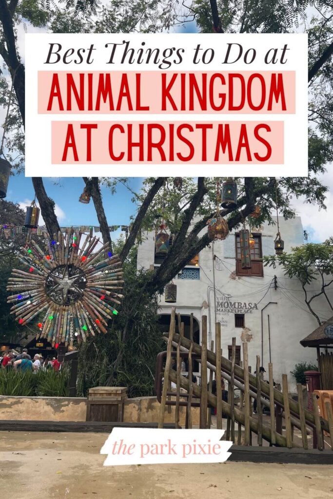 Custom graphic with a photo of Christmas decor at Disney's Animal Kingdom. Text overlay reads: Best Things to Do at Animal Kingdom at Christmas.